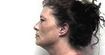 KAREN TRENTHAM | 2017-02-13 22:05:00 Bradley County, Tennessee Booking