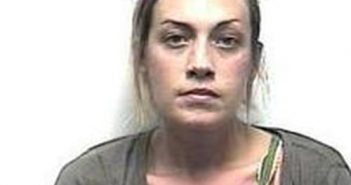 LINDSEY PATTESON | 2017-02-13 21:41:00 Bradley County, Tennessee Booking