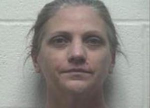 DEANNA ARMSTRONG | 2017-02-13 22:35:00 Robertson County, Tennessee Booking