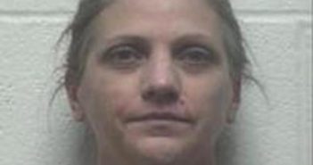 DEANNA ARMSTRONG | 2017-02-13 22:35:00 Robertson County, Tennessee Booking