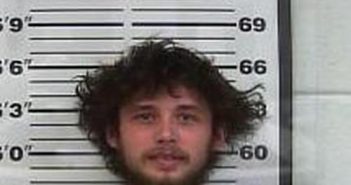 WILLIAM HARRISON | 2017-02-13 12:01:00 Gibson County, Tennessee Booking