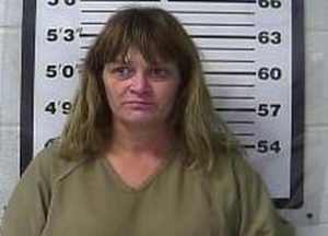 BILLIE GRAHAM | 2017-02-13 12:01:00 Gibson County, Tennessee Booking