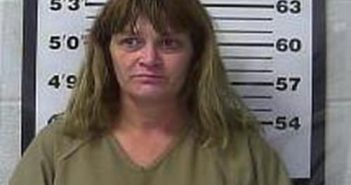 BILLIE GRAHAM | 2017-02-13 12:01:00 Gibson County, Tennessee Booking