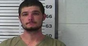 JAMES BROGDON | 2017-02-14 18:22:00 Gibson County, Tennessee Booking