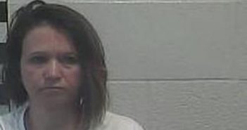 AMANDA CHAMBERS | 2017-02-14 02:06:00 Shelby County, Kentucky Booking