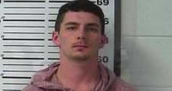 TYLER WHITE | 2017-02-14 16:47:00 Gibson County, Tennessee Booking