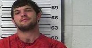 COLBY CRISWELL | 2017-02-14 16:39:00 Gibson County, Tennessee Booking