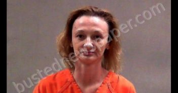 RATLIFF, CARLA JOAN | 2017-02-15 13:00:00 Wayne County, West Virginia Booking