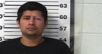 <B>RAMON</B> <B>MARTINEZ</B> #, Gibson County, Tennessee - 2017-02-15 13:42:00