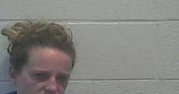 ALLISON MITCHELL | 2017-02-16 23:26:00 Shelby County, Kentucky Booking