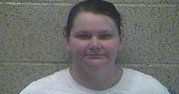 KRISTY ESTES | 2017-02-16 12:06:00 Henderson County, Kentucky Booking