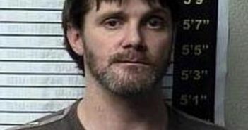 BRIGG WALLACE | 2017-02-16 13:00:00 Graves County, Kentucky Booking