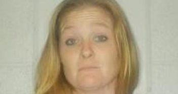 SANDRA MCDONALD | 2017-02-17 19:00:00 Lincoln County, Tennessee Booking