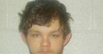 LEVI ASHLEY | 2017-02-17 19:00:00 Lincoln County, Tennessee Booking