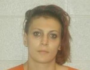 COURTNEY NEAL | 2017-02-18 17:53:00 Lincoln County, Tennessee Booking