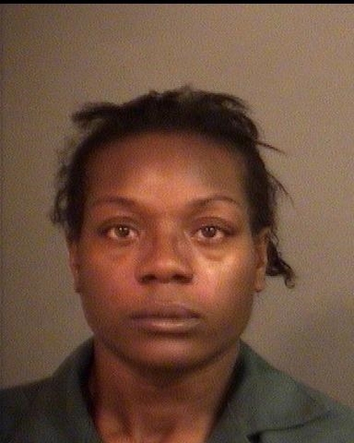 ASHLEY MONIQUE SCOTT #, St. Joseph County, Indiana - 2017-02-19 18:10:00