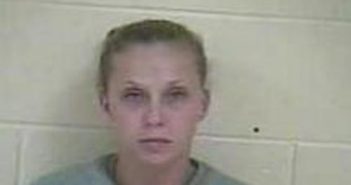 ALEYA MILBY | 2017-02-20 00:13:00 Taylor County, Kentucky Booking