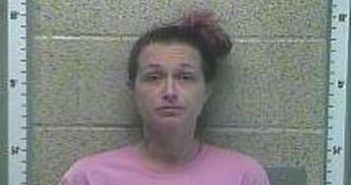 PEPPERDEE BROCK | 2017-02-20 19:41:00 Henderson County, Kentucky Booking