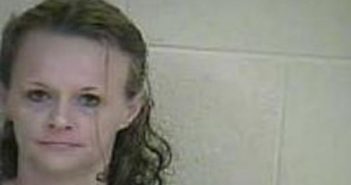 CHRISTINA MARPLES | 2017-02-21 19:36:00 Taylor County, Kentucky Booking