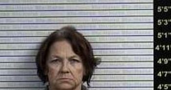 AMY HOGG | 2017-02-22 23:20:00 Graves County, Kentucky Booking