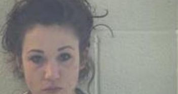 JESSICA TAYLOR | 2017-02-23 15:07:00 Pulaski County, Kentucky Booking