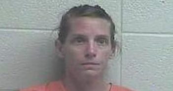 CRYSTAL SPENCER | 2017-02-23 17:19:00 Jessamine County, Kentucky Booking