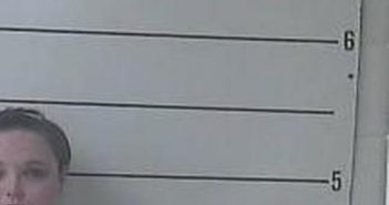 JESSICA VARNEY | 2017-02-23 19:05:00 Boyd County, Kentucky Booking