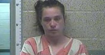 JENNIFER GIBSON | 2017-02-24 04:42:00 Henderson County, Kentucky Booking