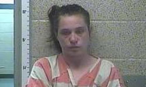 JENNIFER GIBSON #, Henderson County, Kentucky - 2017-02-24 04:42:00