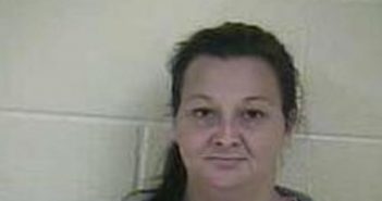 JESSICA BUSSELL | 2017-02-28 14:26:00 Taylor County, Kentucky Booking