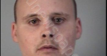 BLAKE ELLIOT TERRY BERG | 2017-03-01 20:25:00 Lake County, Florida Booking