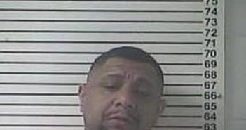 JAMES ROBINSON | 2017-03-08 19:50:00 Hardin County, Kentucky Booking