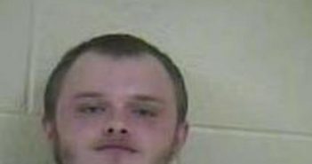 AUSTIN MINGS | 2017-03-12 16:17:00 Taylor County, Kentucky Booking