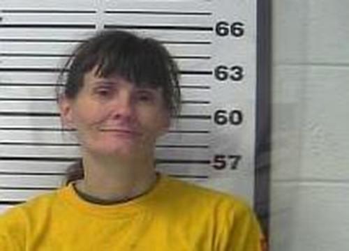 ALICE ALLEN #, Gibson County, Tennessee - 2017-03-13 19:48:00