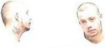 STEVEN HOLBROOK | 2017-03-13 20:40:00 Clark County, Indiana Booking