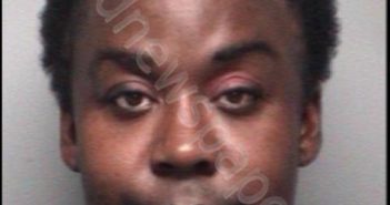 LEROY ALEXANDER ROGERS | 2017-03-15 13:17:00 Lake County, Florida Booking