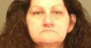 ANNELIESE WREN | 2017-03-22 17:06:00 Delaware County, New York Booking