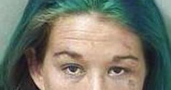 ELIZABETH MAHONEY | 2017-03-22 12:46:00 Palm Beach County, Florida Booking