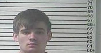<B>SETH</B> <B>DAVIS</B> #, Hardin County, Kentucky - 2017-03-22 05:22:00