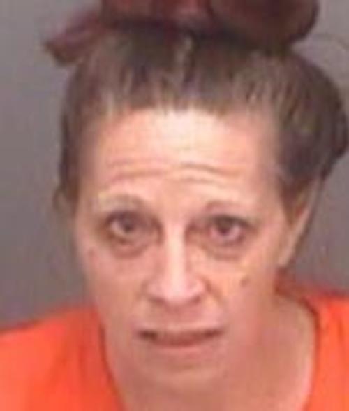 VALERIE MAGAZZU #, Pinellas County, Florida - 2017-03-23 04:55:00