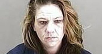 ANGIE DOLLISON | 2017-03-23 06:21:00 Summit County, Ohio Booking