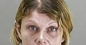 ANDREA STRICKLAND | 2017-03-23 14:00:00 Summit County, Ohio Booking
