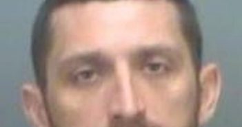 RYAN PEDRO | 2017-03-23 10:13:00 Pinellas County, Florida Booking