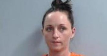 BRIDGETT CORNETT | 2017-03-25 17:07:00 Fayette County, Kentucky Booking