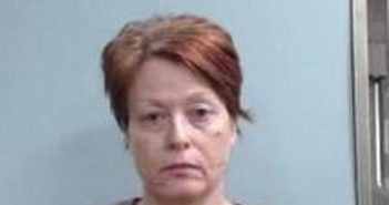 DIANA STENSON | 2017-03-26 15:46:00 Fayette County, Kentucky Booking