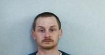 ADAM HANSBROUGH | 2017-03-28 09:00:00 Page County, Virginia Booking