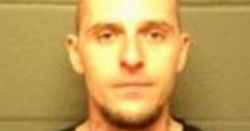 CHAD ELLIS | 2017-03-29 18:57:00 Delaware County, New York Booking