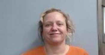 SANDRA TOOMEY | 2017-03-30 12:15:00 Fayette County, Kentucky Booking