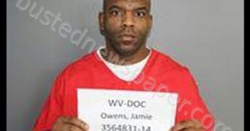 OWENS, JAMIE LEE | 2017-03-31 13:30:00 Taylor County, West Virginia Booking
