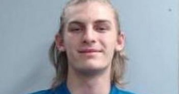 TROY BRICKLES | 2017-04-01 17:42:00 Fayette County, Kentucky Booking